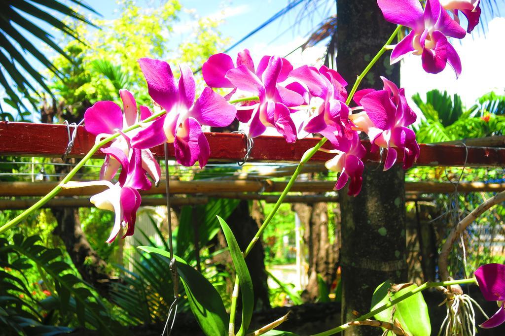 Kampot guesthouse Eksteriør billede
